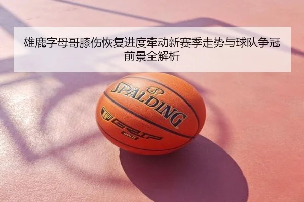 雄鹿字母哥膝伤恢复进度牵动新赛季走势与球队争冠前景全解析
